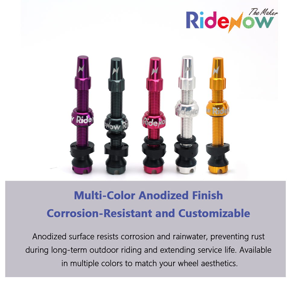 Tubeless Valve