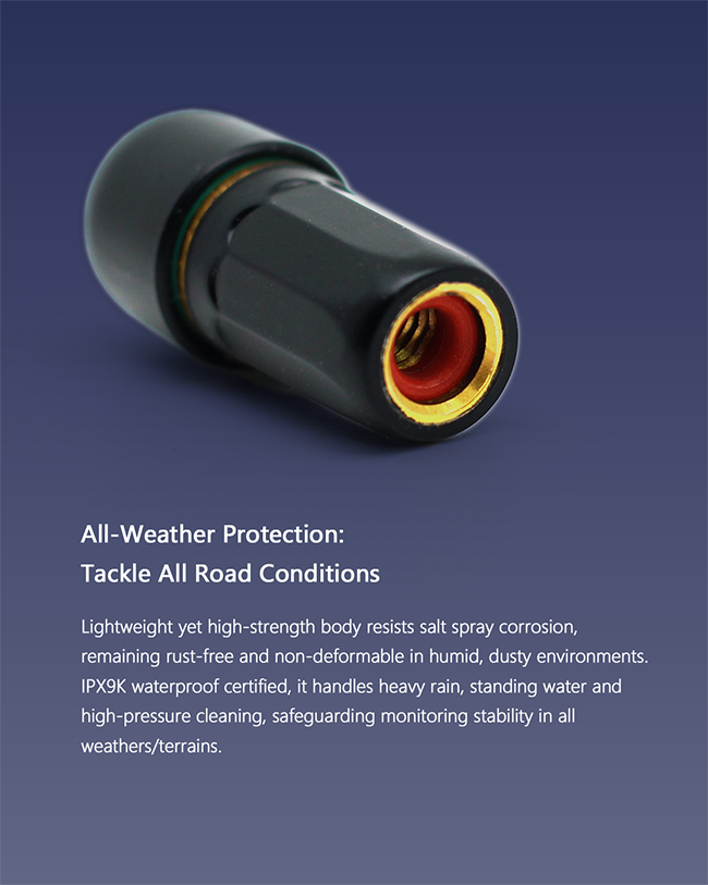 RideNow TPMS T1 Tire pressure monitoring system