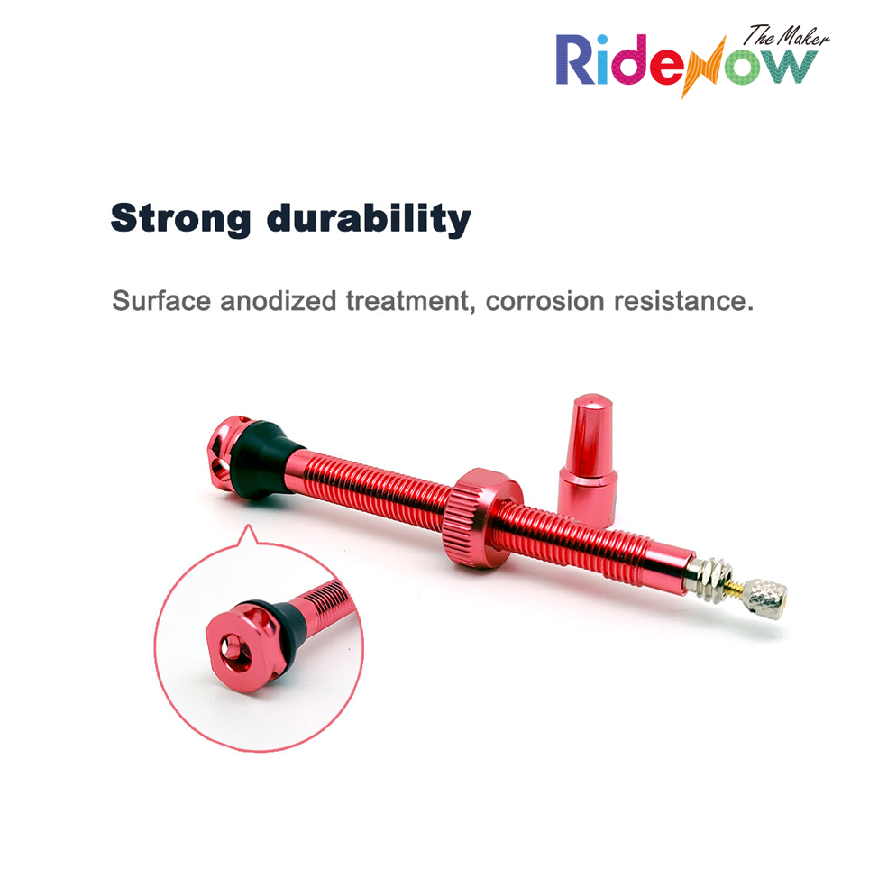 Tubeless Valve
